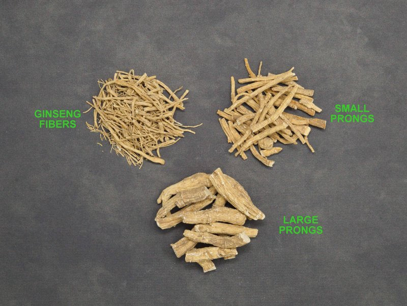 509 - Premium Ginseng Fibers
